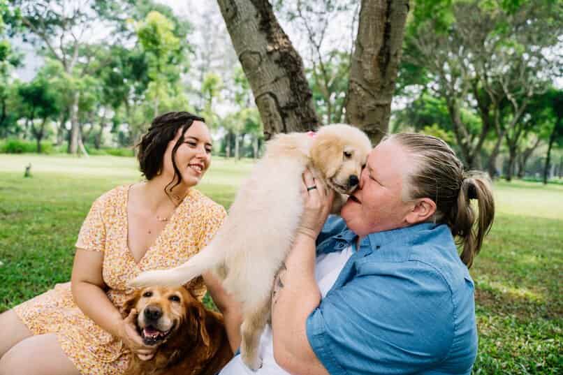 Entretener a tu pequeño perro