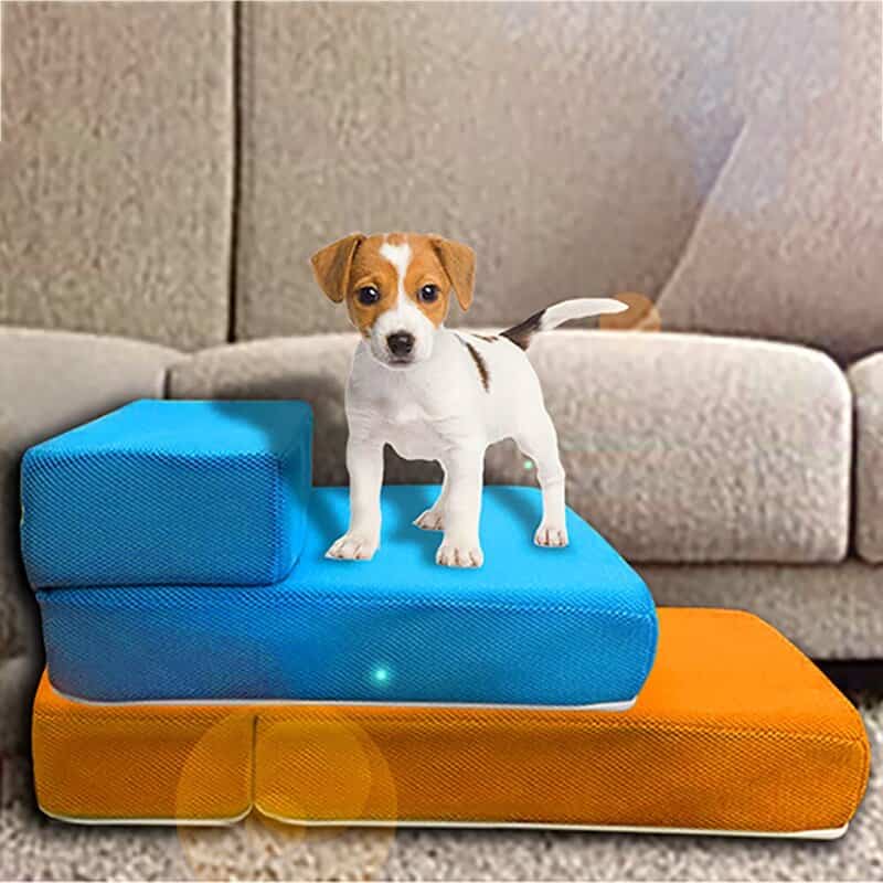  perros pequeños