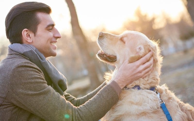 a mi perro le suenan las tripas