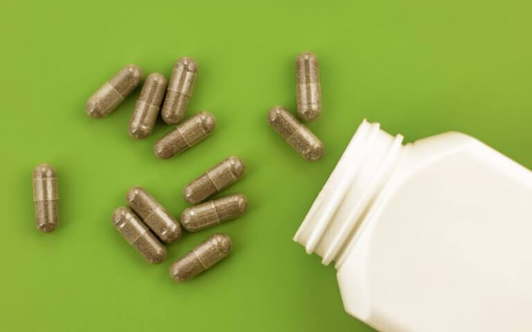 antiinflamatorios para perros sin receta