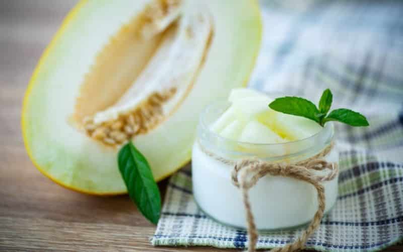 los perros pueden comer melon