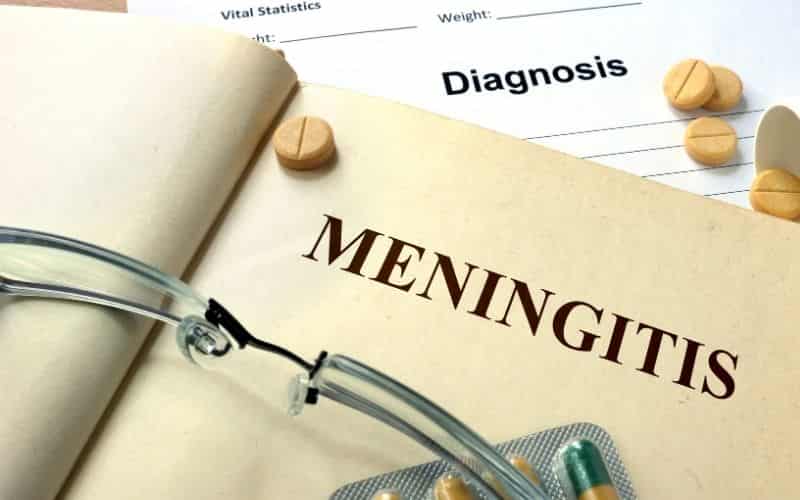 meningitis en perros