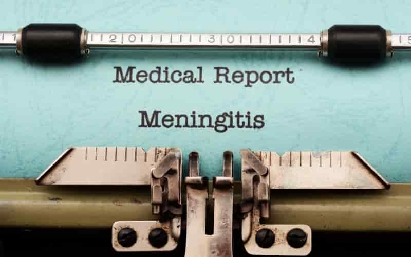 meningitis en perros