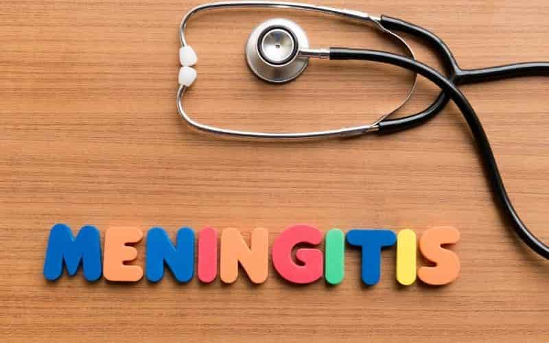 meningitis en perros