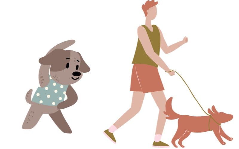 una persona haciendo ejercicio con su perro
