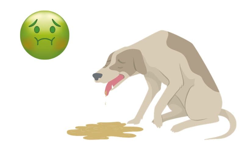 dibujo de un perro vomitando