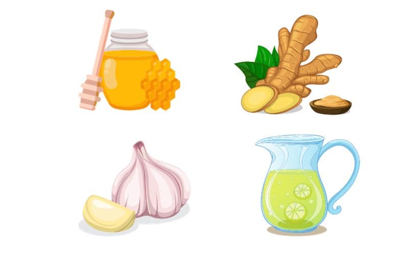 ingredientes: Jugo de limón, Miel, Ajo y Jengibre para el moquillo en los perros