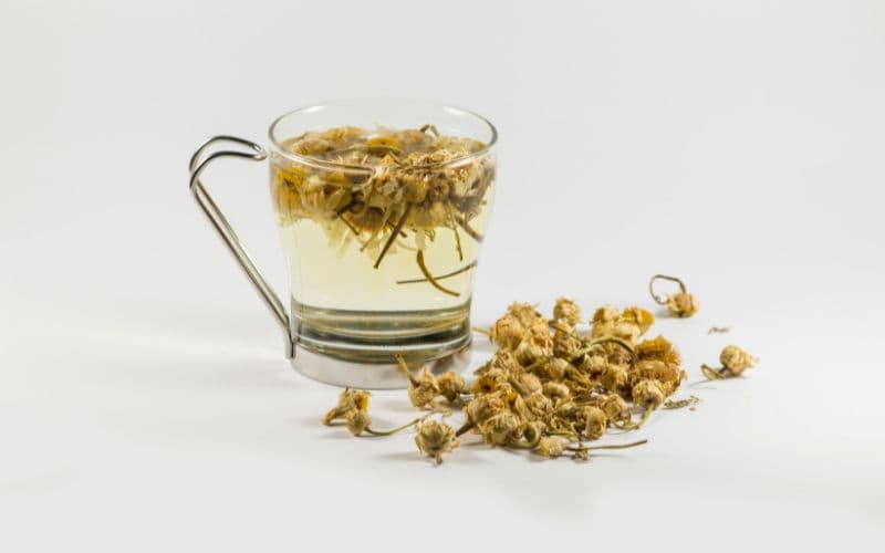infución de manzanilla para aliviar el moquillo en los perros